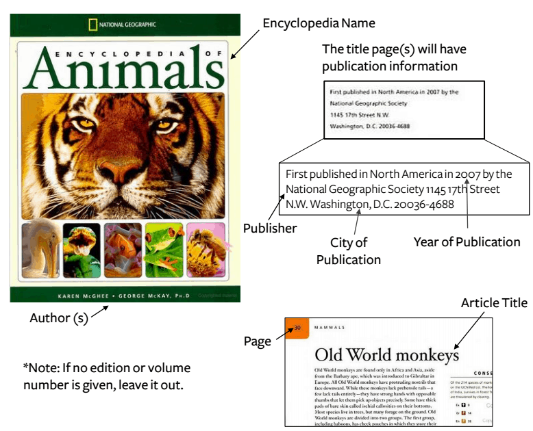 mla format citation example encyclopedia