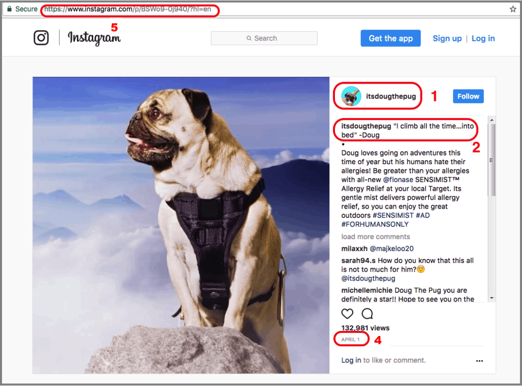 How to cite an instagram video doug the pug