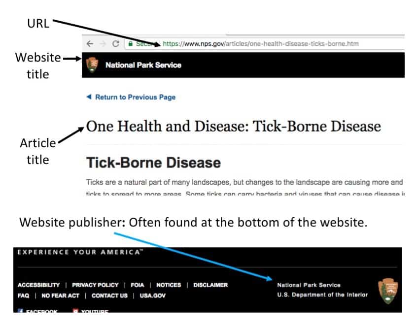 how to cite a website in text for mla