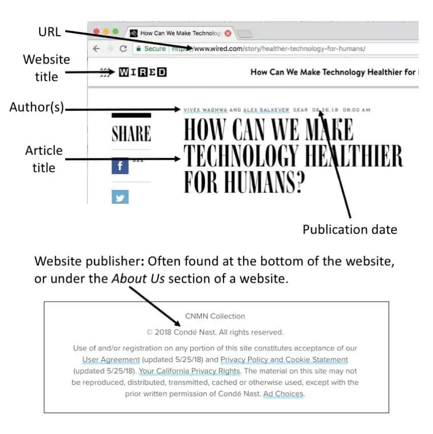 article about websites