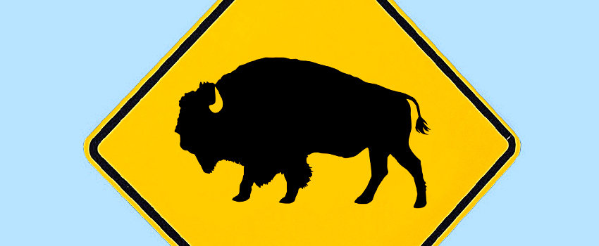 igennem Fakultet Levere A Color Coded Guide to the Eight Buffalo Sentence - EasyBib Blog