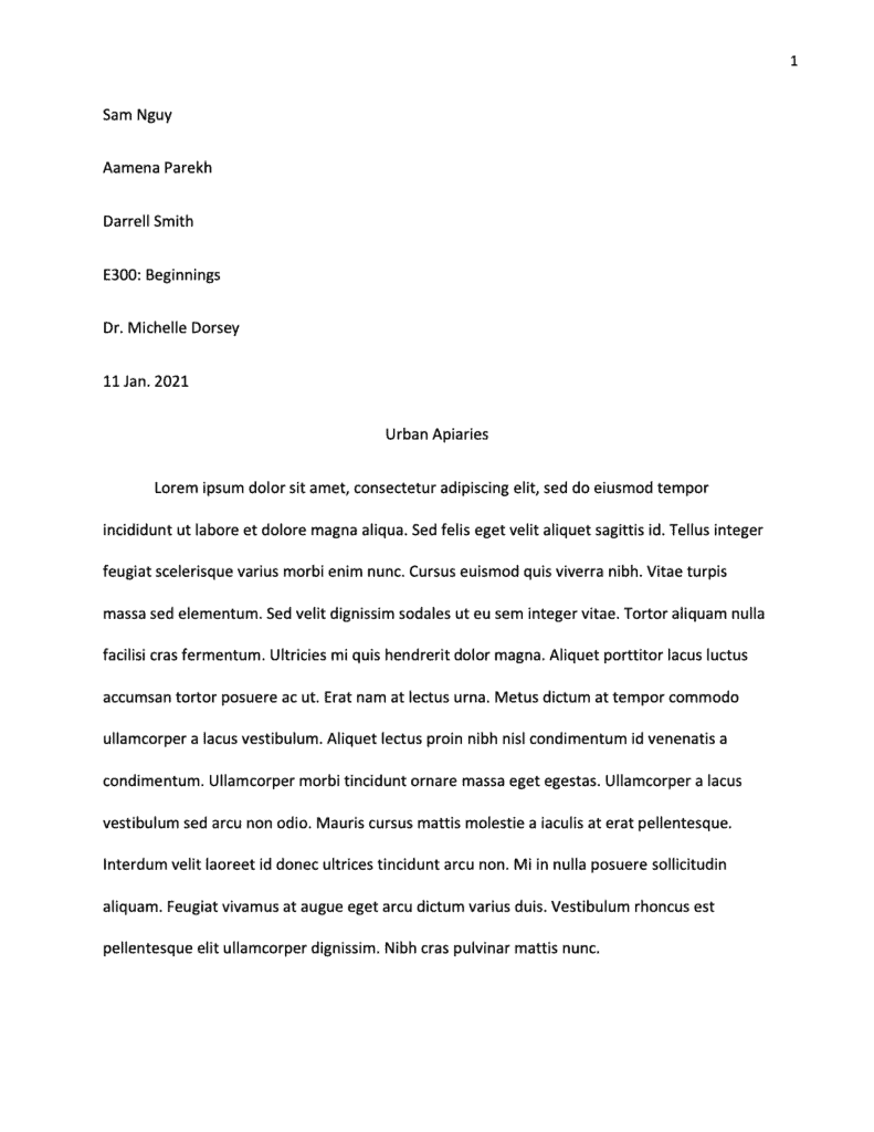 mla style essay format example